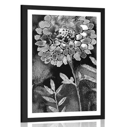 Plakat s paspartujem čudovite rože v črnobeli varianti - 40x60 no frame