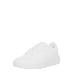 Champion  B24231  Bela