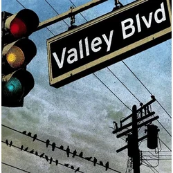 Various Artists - Valley Blvd (LP)