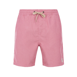 Mens shorts Protest PRTULEY
