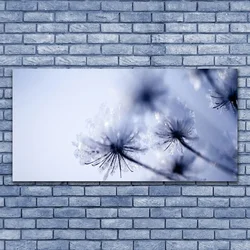 tulup.si Slika na platnu Dandelion rastlin 125x50 cm