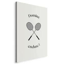 shumee Slika - Črni badmintonski loparji