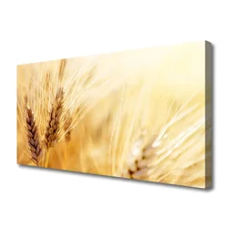 tulup.si Slika na platnu Pšenica rastlin narava 125x50 cm