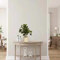 Dekordom Cvet u saksiji schefflera - n58 ( 025187 )