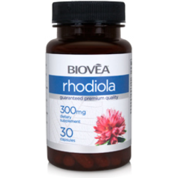 RHODIOLA ROSEA - ROŽNI KOREN v kapsulah 300mg 30 kapsul