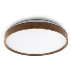 Mitea Lighting Plafonjera fi380 x h60mm 24W LED SMD 6500K M205484