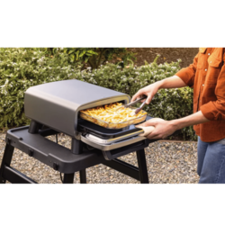 Pica pec NINJA MO201EU1760W13Lsiva ( MO201EU )