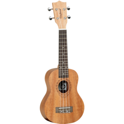 Tanglewood Tiare TWT 1 Ukulele