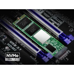 SSD TRANSCEND 256GB/interni/M.2/NVMe/crna