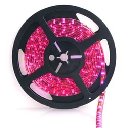 Forever LED trak SMD3528 8mm 60LED 4,8W/m - roza
