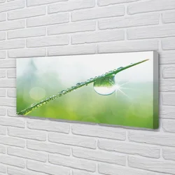 tulup.si Slika na platnu Drop trava makro 140x70 cm