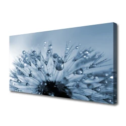 tulup.si Slika na platnu Dandelion flower drops 125x50 cm