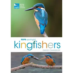 RSPB Spotlight Kingfishers