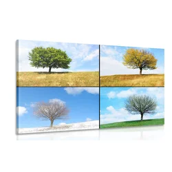 Slika drevo v letnih časih - 60x40