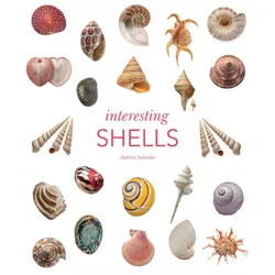 Interesting Shells