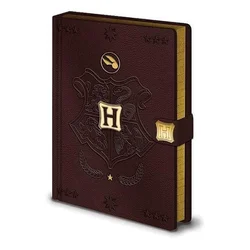 Sveska Harry Potter (Quidditch) A5 Premium Notebook