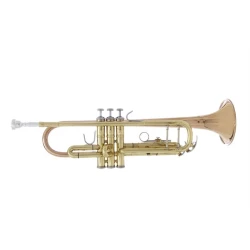 JP251 SW BB trobenta / LAKIRANA
