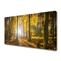 tulup.si Slika na platnu Forest listi narava rastlin 120x60 cm