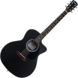 Pasadena PGC-100 Black Akustična kitara Jumbo (Samo odprto)