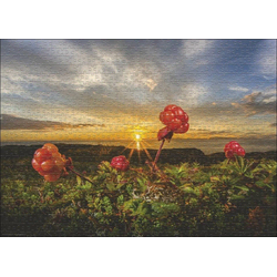 HEYE Puzzle Audun Rikardsen Cloudberries 1000 delova 30016
