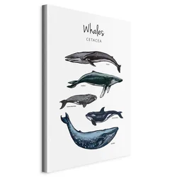 artgeist Slika Na Platnu Whales