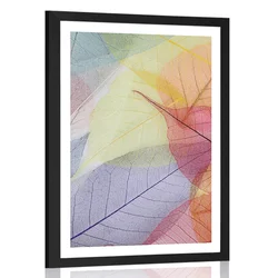 Plakat s paspartujem žile na barvnih listih - 30x45 no frame