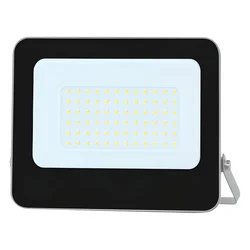 Mitea M480050-S6 ECO LED reflektor 50 W 6500 K, tamno sivi, IP65
