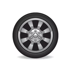 Momo North Pole W-2 ( 195/55 R15 85H )