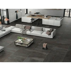 ACIER IRON 60x120