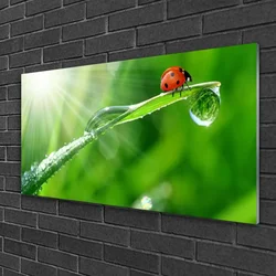 tulup.si Steklena slika Grass pikapolonica narava 100x50 cm 4 obešalnika