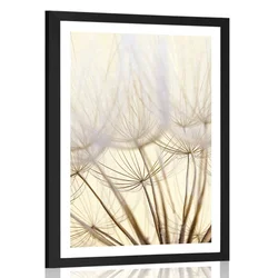 Plakat s paspartujem semena regrata - 20x30 no frame