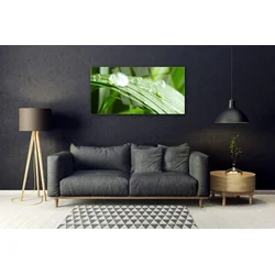 tulup.si Steklena slika Leaf dew drops 125x50 cm 4 obešalnika