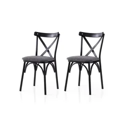 Hanah Home Set trpezarijskih stolica Ekol 288 V2, 2 komada, Tamnosivi