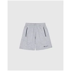 Champion Authentic Athletic Apparel Hlače siva