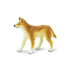 Safari Dingo