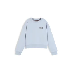 TOMMY HILFIGER Majica nebeško modra/črna
