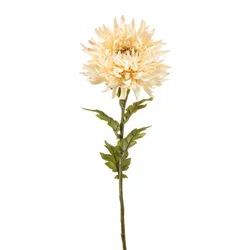 Krizantema krem 63cm - krem - 50 do 75 cm
