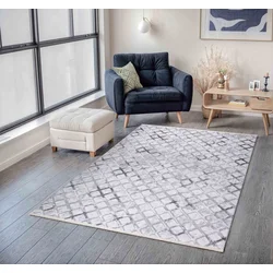 Conceptum Hypnose Tepih Cabana, 200 x 290cm, Sivi