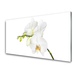 tulup.si Slika na steklu Orhideje narava 140x70 cm 2 obešalnika
