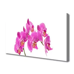 tulup.si Slika na platnu Orhideje narava 140x70 cm
