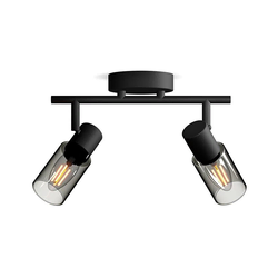 Philips - Spot svetiljka PALMS 2xE14/25W/230V