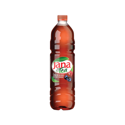 ?AMNICA ?ana ledeni ča? šumsko voće i brusnica 1.5l