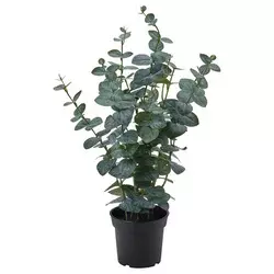 FEJKA Veštačka biljka u saksiji, unutra/spolja eukaliptus, 15 cm