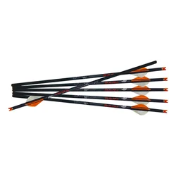 Ravin Bolt Carbon Crossbows LLC 500 grain .003