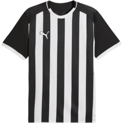 Puma Dres teamLIGA26 Striped