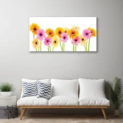 tulup.si Slika na platnu Pisane daisy cvetje 100x50 cm