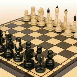 Šah Classic 50 x 50 cm