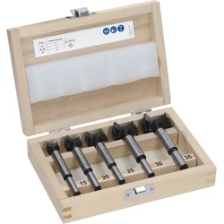 Bosch Expert Komplet glodala za šarke 2608901844, 5 komada