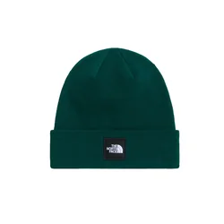 THE NORTH FACE Kape Dock Worker temno zelena