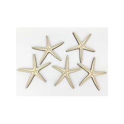 Rayher. Morske zvezde, set 5, 8cm, leseni dekor